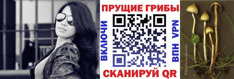 Галлюциногенные грибы мицелий Купить закладки Лабинск
